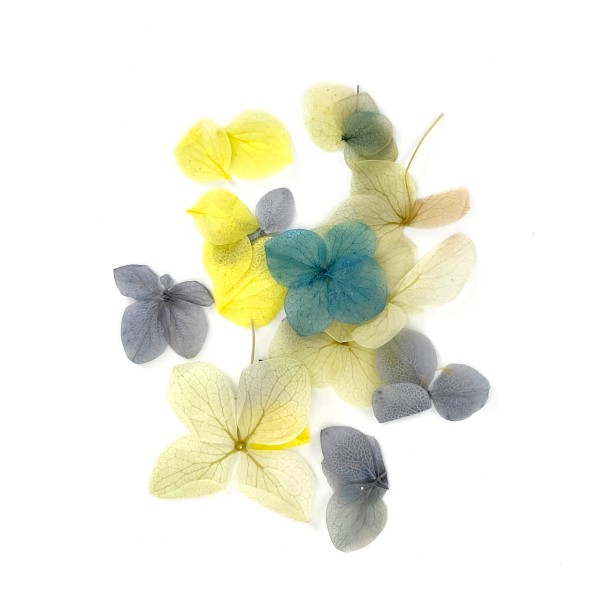 JUSTNAILS Trockenblumen Dry Flowers Set